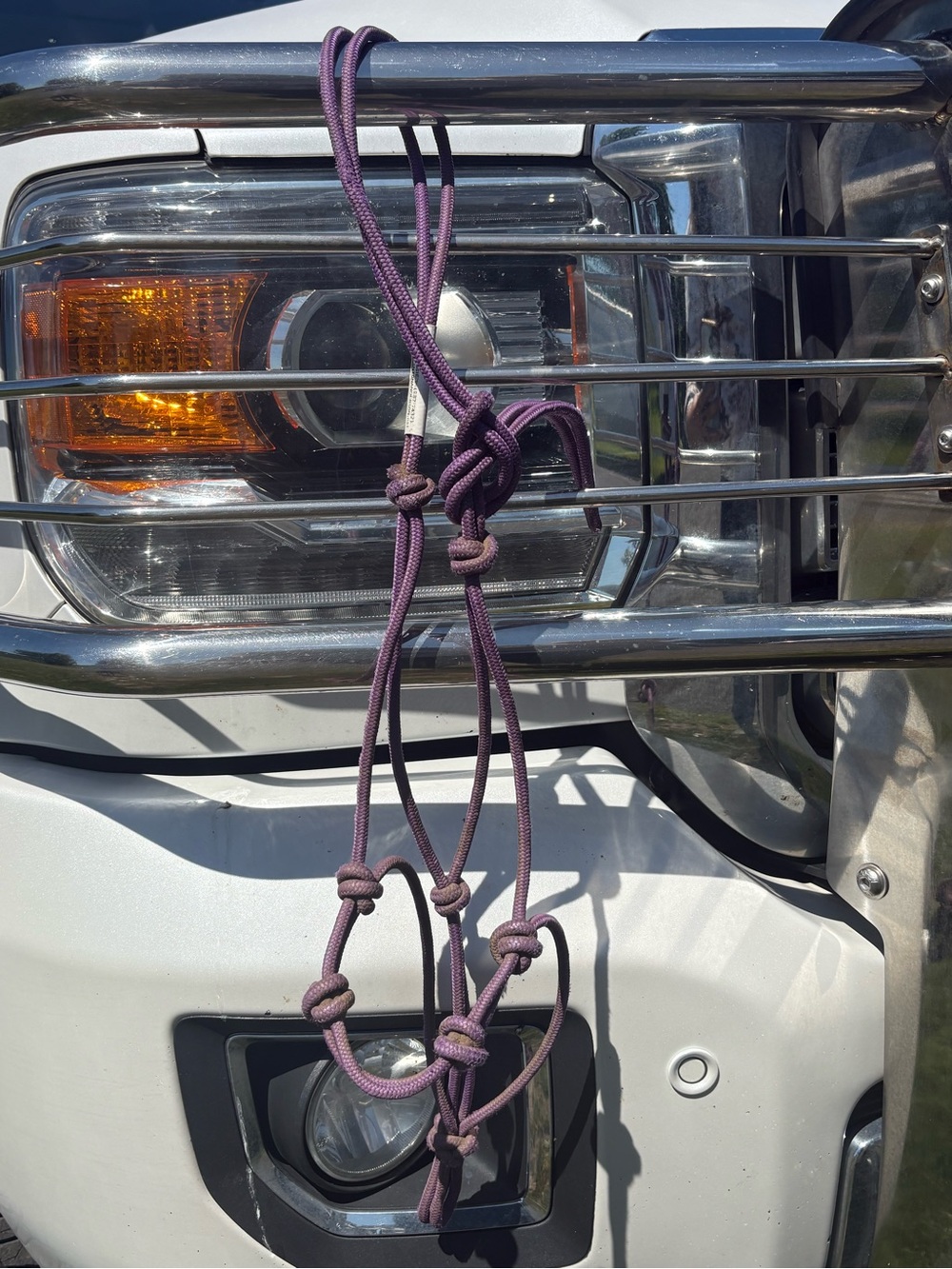 Purple Knotted Clinton Anderson S halter